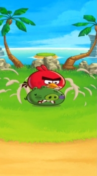 Angry Birds Fight!  (  )