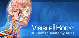 Анатомия - 3D Атлас полная версия (Мод все открыто)