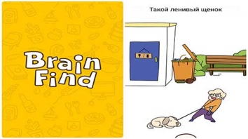Brain Find  (  )