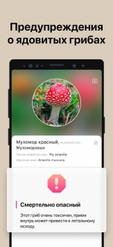 Picture Mushroom - Mushroom ID взломанный (Мод Premium)