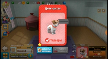 DogTown: собаки, игры, зоомагазин взломанный (Мод много денег) 