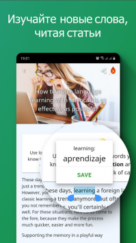 DuoCards — языковые карточки взломанный (Мод Premium)