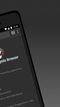Puffin Incognito Browser взломанный (Мод pro)