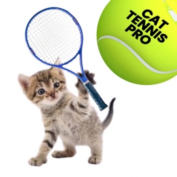 Cat Tennis Pro взломанный (Мод )
