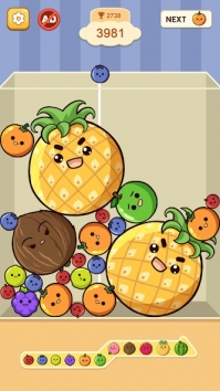 Fruit Merge: Juicy Drop Game  (  / )