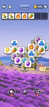 Tile Explorer - совпадение взломанный (Мод много денег/без рекламы) Tile Explorer - совпадение взломанный (Мод много денег/без рекламы)
